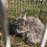 ペンション もみの木 - 