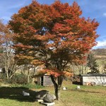 ペンション もみの木 - 