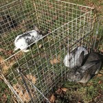 ペンション もみの木 - 