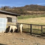 ペンション もみの木 - 