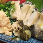 こばやし水産 - お刺身盛り合わせ