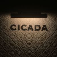 CICADA - 