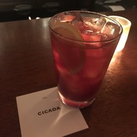 CICADA - 