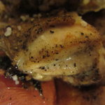 アヒルストア - 地鶏とトマトのローストＵＰ１（11.4月）