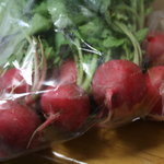 香寺ハーブガーデン