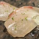 馳走 啐啄一十  - ⑧縞鯵4日熟成(長崎県五島列島)