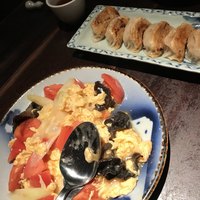 雪梅花 菜根譚 - 