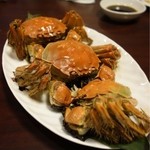 南国亭 - 期間限定☆上海蟹食べ尽くしコース 3980円