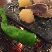 お料理コース