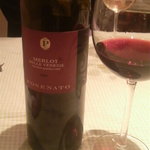 Bistro Incontro - 赤ワイン／ガンチア／ポセナート・メルロ／２００９年