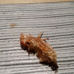 鮨 巳之七 - 車海老頭（塩焼）。