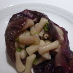 フォリオリーナ・デッラ・ポルタ・フォルトゥーナ - 