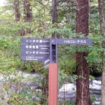 Cafe Hungry Spot - ←村民食堂 | ハルニレテラス→