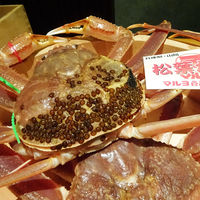かにじぇんぬ 北新地 - 