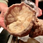 おうさか苑 - 「トッピングの脂かす」：東京ではなかなかお目にかかれない！大阪から取り寄せてます