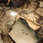 神楽坂 石かわ - 