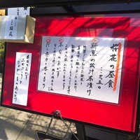 高麗橋桜花 - 