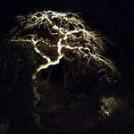 アトリエドフク - 