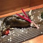 SALT AND FIRE・ROBATAYAKI - 