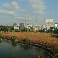 東天紅 上野店 - 6階宴会場からのながめ