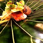 一穀一枝 - 【魚】金目鯛（千葉産）