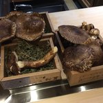 丹波篠山産の立派な松茸がお出迎えｗ