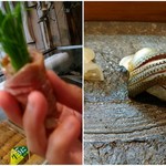 寿司栄 - マグロとコハダです♪