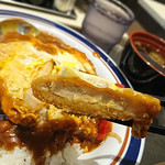 名代 富士そば 板橋店 - カレーかつ丼