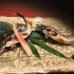 蕎麦　もり木 - 鮎