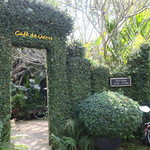 Cafe de Oasis - 