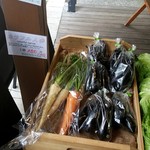 코코페리 - 長なす、カラフル人参