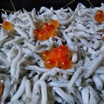 魚きん - しらす丼寿司（アップ）