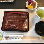 うな吉 - うな重（上）です。（2017.11 byジプシーくん）