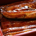 うなぎ亭 友栄 - 上うな重のうなぎアップ