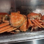 わだのや - 兵庫県津居山 勢子がに