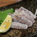 わだのや - シャコ