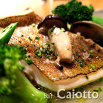 料理店 Caiotto - 