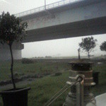 PEACE TOKYO - ゲリラ豪雨