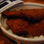 敦賀ヨーロッパ軒 - 料理写真:ソースカツ丼