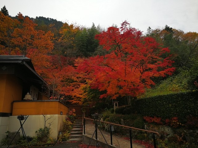 升冨 しのぶ野 - 美術館図書館前（日本料理）の写真