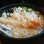 Henkotsu udon mabi - 天ぷらうどん
