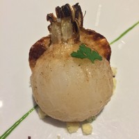 レフェルヴェソンス - 蕪の定点観食