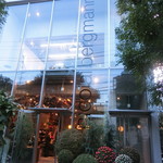 76620002 - ニコライバーグマンノムさん