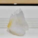 祇園 にし - モンゴウイカ