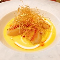 cenci - 