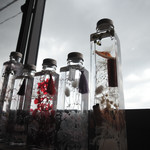 いろベジキッチン - ちょうど座ったテーブル席の窓際のインテリア