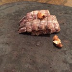 余市SAGRA - 雌しゃこと胡桃