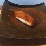 余市SAGRA - 水草かれい