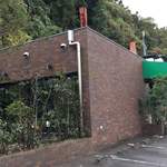 トラットリア・マンジャーレ - 