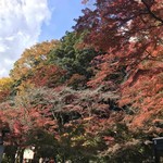 栄茶屋 - 高尾山ふもとの紅葉
